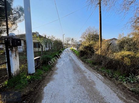 Kemalpaşa Halilbeylide Satılık 2350 M²