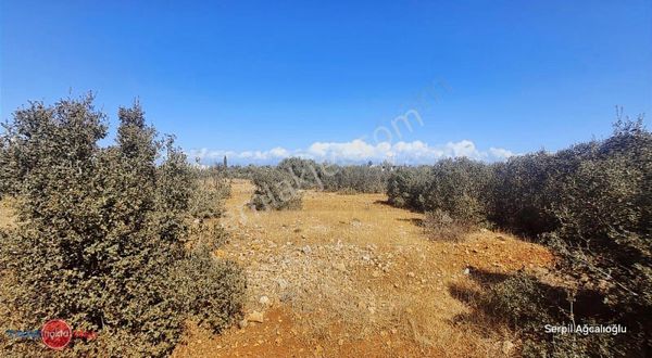 Aksu Atatürk Mahallesi Konut İmarlı Arsa