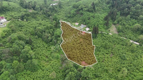 Tutkun Gayrimenkul'den Dolaylı'da Fırsat Kelepir Arsalar