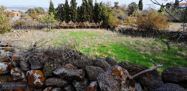 Ayvacıkta Fırsat Arsa 495 M² %60 İmarlı Tapulu