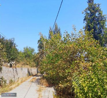 Yukarıkızılcada Müstakil 6+1 3 Katlı Ev+bahçe Ve Meyve Ağaçları