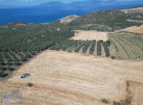 Maltadan Şirinçavuşta Düz Deniz Manzaralı Arazi!!