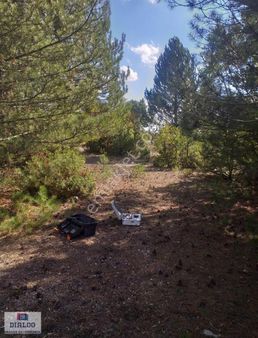 Emet İlçesine Duble Yola Yakın Kadastral Cepheli 33316m2 Satılık