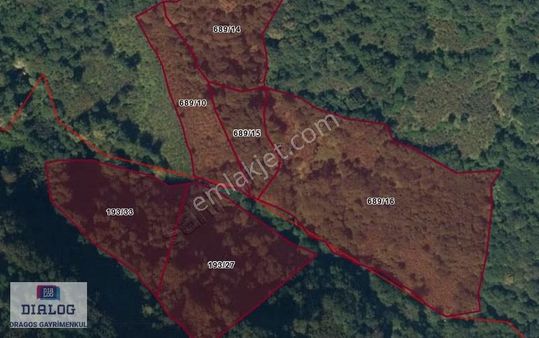Perşembe Tarlacık Mah De Kadastral Cepheli 2795 M2 Satılık Arazi