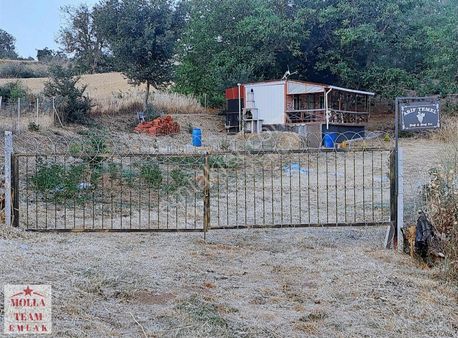 Molla Team'den Tekirdağ İnecikte Yolu Olan Bağyeri