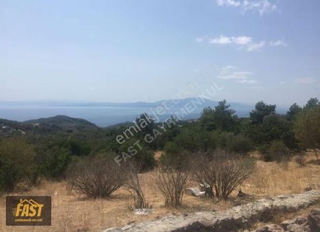 Çanakkale Ayvacık'ta Deniz Manzaralı 10.667 M2 Müstakil Tapu