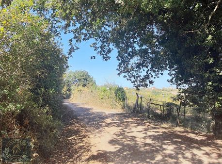 Satılık 10.977 M² Tarla Kandıra Çamkonak Köy İçi