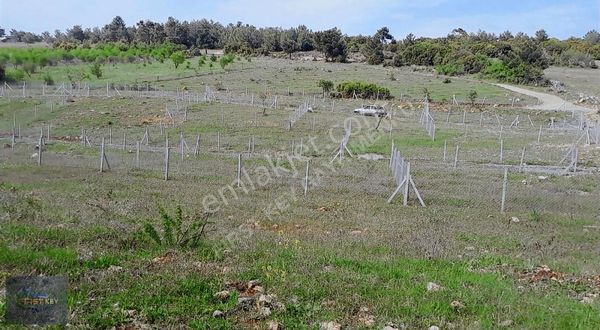 Kemalpaşa Damlacık'ta Harika Konumda Satılık Arsa