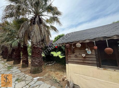 Değerine Değer Katacak Yatırım Gömeçte Satılık Çiftlik Ve Arazi