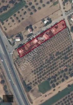 Bergama Zeytindağ'da 250 M2 Arsa Satılık.