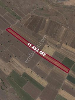 Kızıltandan Ayaş Feruzda Yolu Açılmış Köy'e Yakın Tek Tapu Tarla