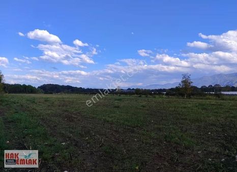 Hak Emlak'tan Gölyaka - İmamlar Mah.de Satılık 16.808 M² Tarla