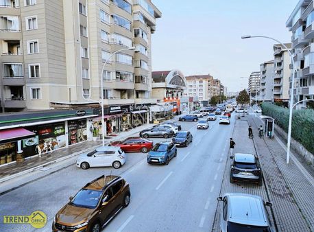 Bursa'da En Büyük Hayvan Hastanesi