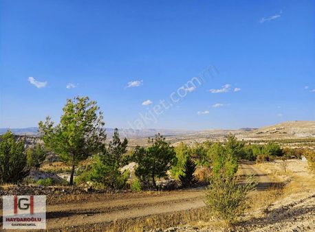 Muhteşem Manzaralı Zeytin Ve Kirazlı, Fırsat Bağevlik Yer