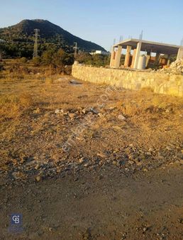 Islamhanelerinde Satılık 500 M2 Kooperatif Hissesi Arsa