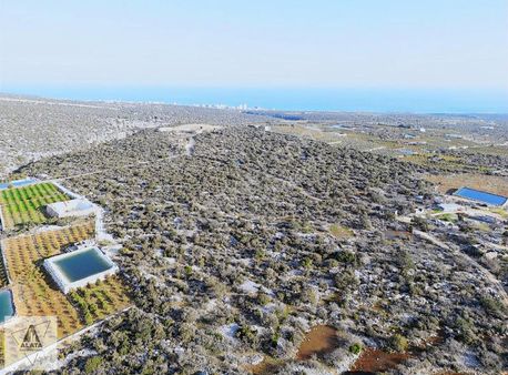 Mersin Ayaş Kızılbağ Da Satılık Tarla