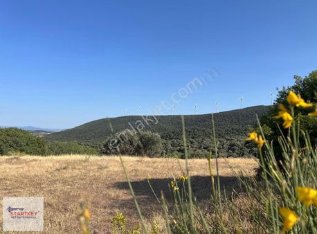 Yeni Foça Deniz Manzaralı Müstakil Parsel 3.derece Sit Satılık