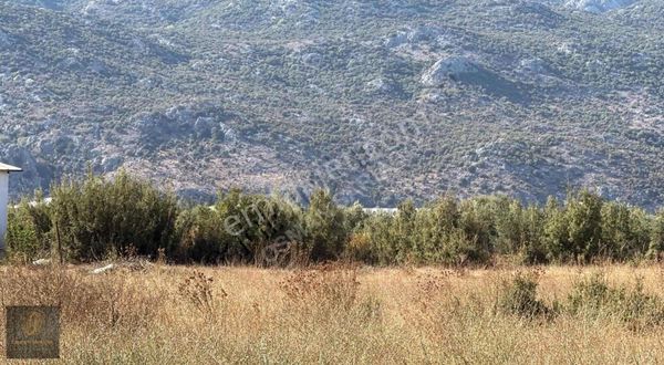 Döşemealtı Kömürcüler Tek Tapu 750 M2 Tarla