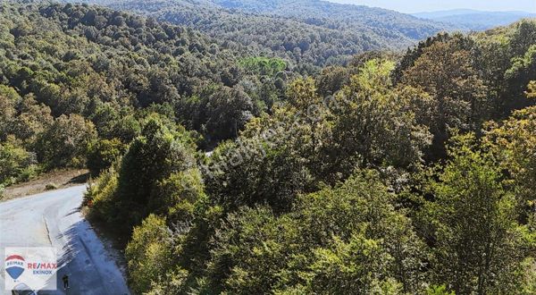 Demirköy Yeşilce Köyünde Satılık 400 M2 Bahçe