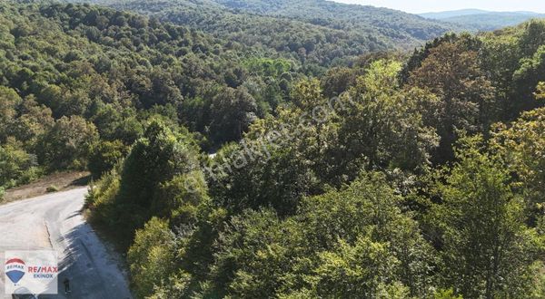 Demirköy Yeşilce Köyünde Satılık 557 M2 Bahçe