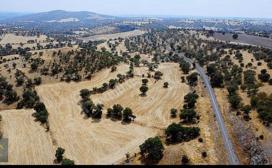 Uşak Uluğ Bey De Satılık Altın Madenine Yakın Tarla