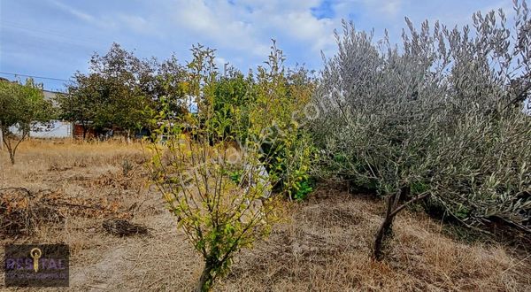 Çanakkale Merkez Dümrek Köyünde, Köy Imarlı 204 M2 Arsa