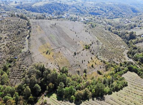 Mükemmel Konumda Satılık Yerler( Açıklamaya Dikkat)
