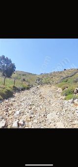 Bodrum Gümüşlük Dereköyde Satılık 500 M2 Kooperatif Arazi