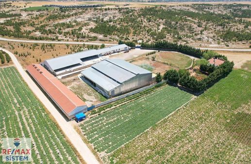 Afyon'da Ana Yola Yakın Hesaplı Kullanıma Hazır Satılık Çiftlik