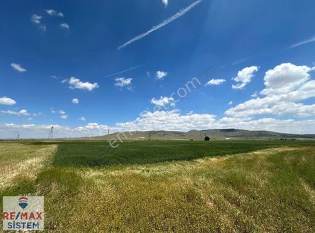Susuzda Yola Yakın 3468 M2 Satılık Arsa Arsa