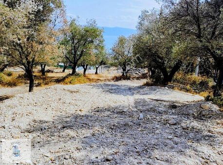 Kocaeli Dilovası Full Deniz Manzaralı Satılık Arsa