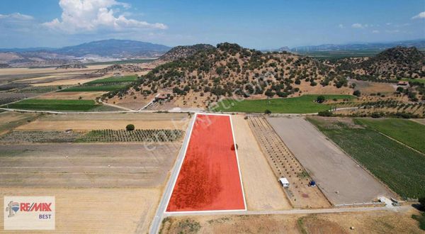 24 Dikili - Çandarlı Arasında 10 Dönüm Müstakil Köşe Tarla