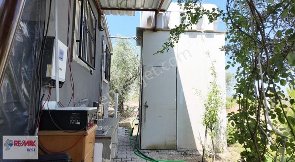 1 Manisa Saruhanlı Hacırahmanlı Beldesinde. Satılık Zeytinlik