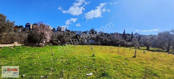 5 Buca 29 Ekim Mahallesinde 815 M2 Zeytinlik