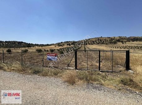 11 Foça Yeniköyde Doğayla İç İçe, Yatırımlık Tek Tapu Arazi!