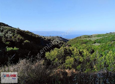 3 Mudanya Çepni De Eşşsiz Doğa Ve Deniz Manzaralı Tarla