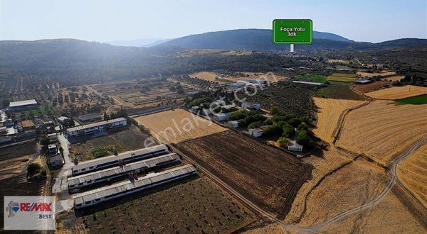 15 Remax Best'ten Ilıpınar'da Yola Cepheli Tarla