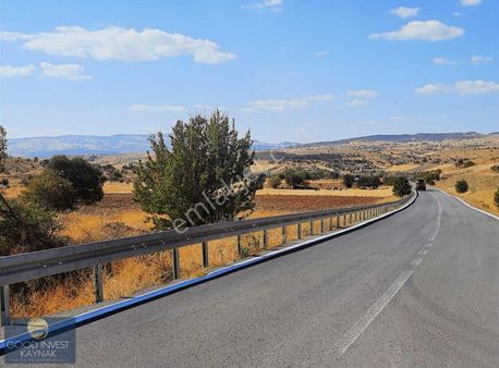 Armoni Lıfe 'dan Kooperatif Hissesi