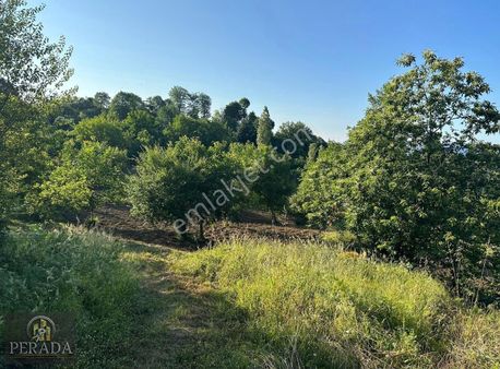 İzmit Karamürsel Çamçukur Köyünde %5 İmarlı 7261m2 Tarla