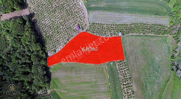 Kocaeli Kandıra Çalköyde Satılık 6452 M2 Tarla