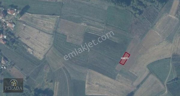 Kocaeli Kandıra Topluca Mahallesi'nde 333 M2 Satılık Tarla