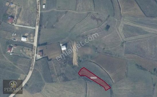 Kocaeli Kandıra Terziler Mahallesi'nde 1.195m2 Satılık Tarla