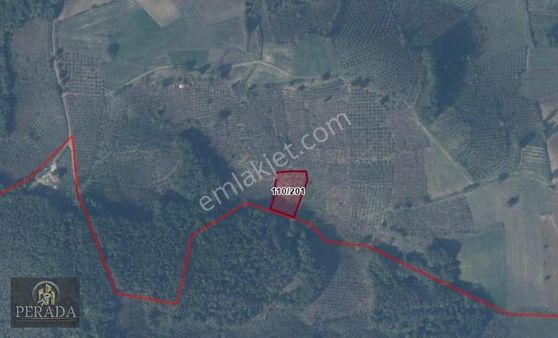 Kocaeli Kandıra Karlı Mahallesi'nde 2.383 M2 Satılık Tarla