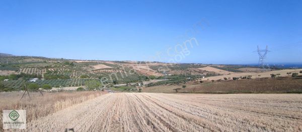 Şarköyde Göle Yakın 44 Dönüm Tarım Ve Yatırım İçin İdeal Tarla