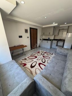 Üniversite Bölgesinde Kiralık Daireler