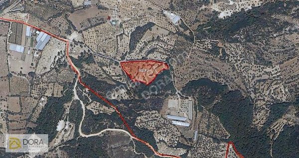 Urla'da Yatırımlık İmar Bölgesine Sınır Parsel