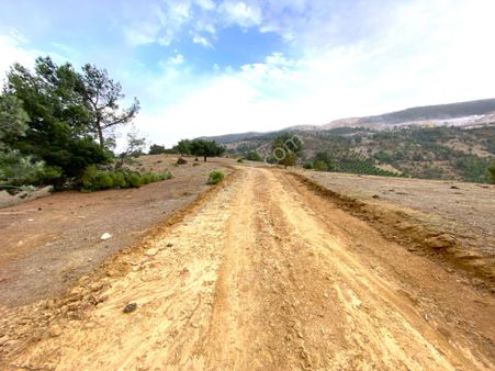 ▀fiyat Düştü▀🌀yetki Gültaş Emlaktan Havran Kocaseyitte Satılık Full Manzaralı 1382m Fırsat Tarla