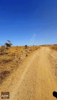 Merkeze 1 Km Mesafede 13 Dönüm Satılık Tarla