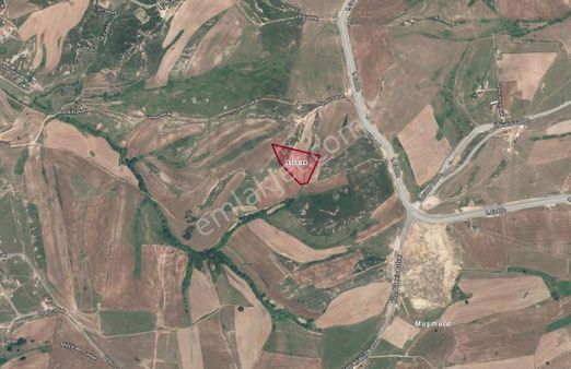 Tuzla Tepeörende Satılık Uygun Tarla Hissesi 150 M2