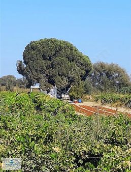 Atbiner Emlaktan Mareşal Fevzi Çakmak Mah. 12.000m2 Satılık Bağ